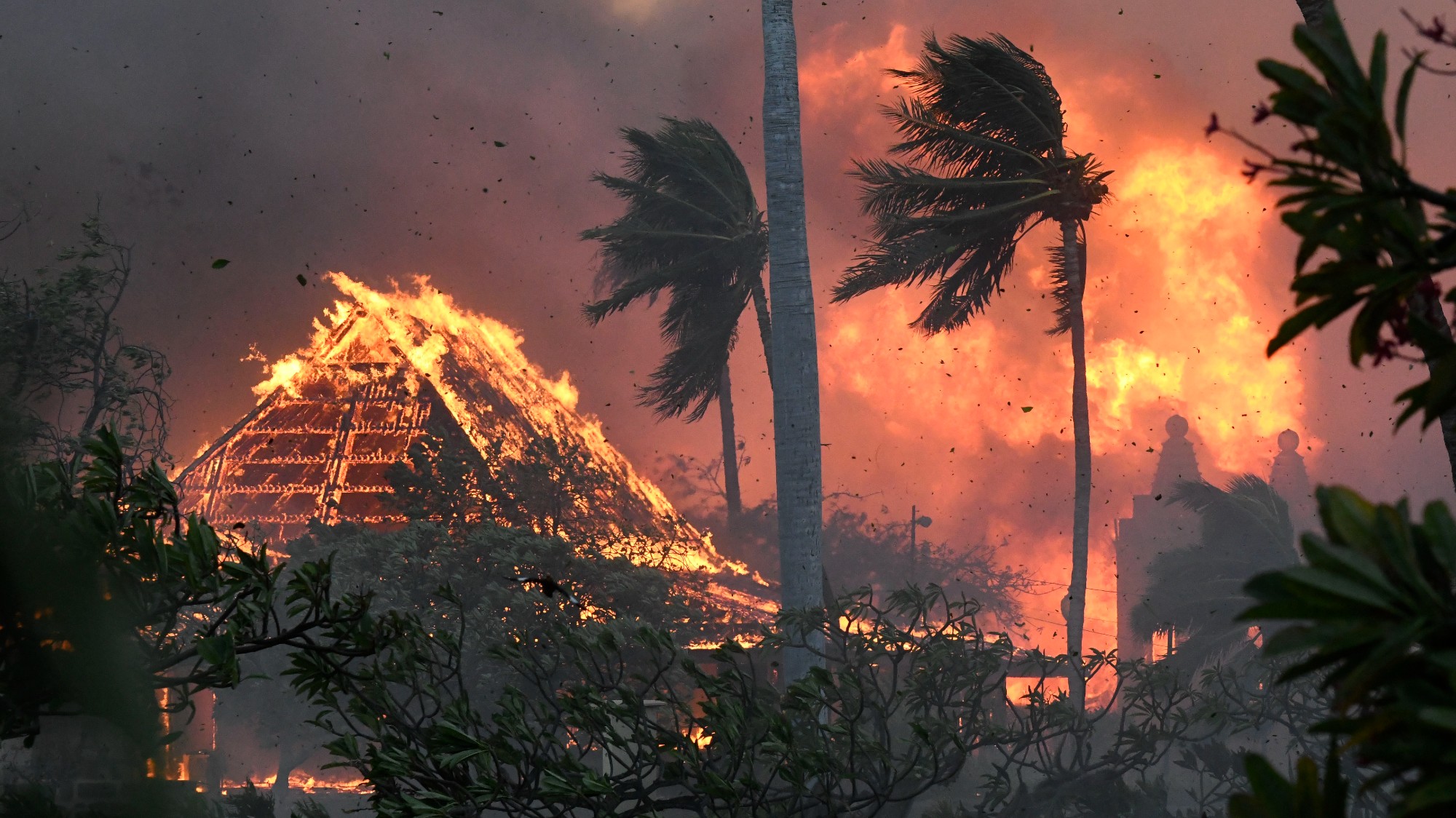 Maui wildfire